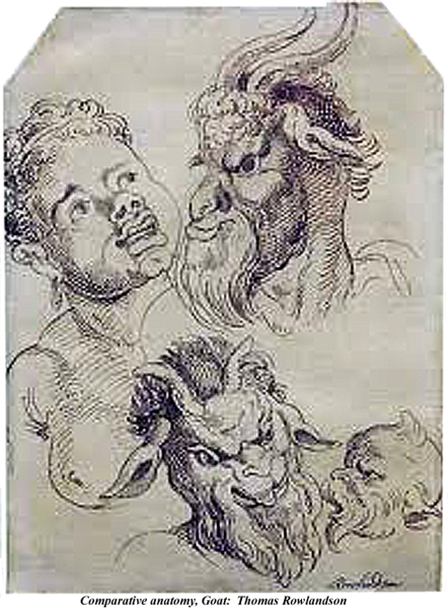 Comparative anatomy Goat Thomas Rowlandson